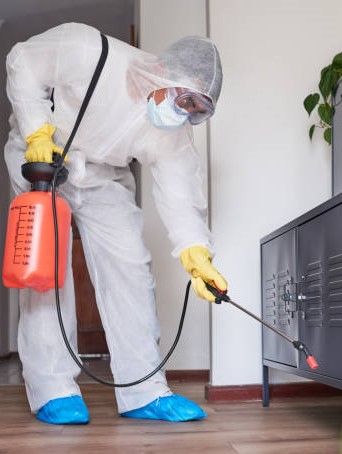 عن الالمانية فيرست