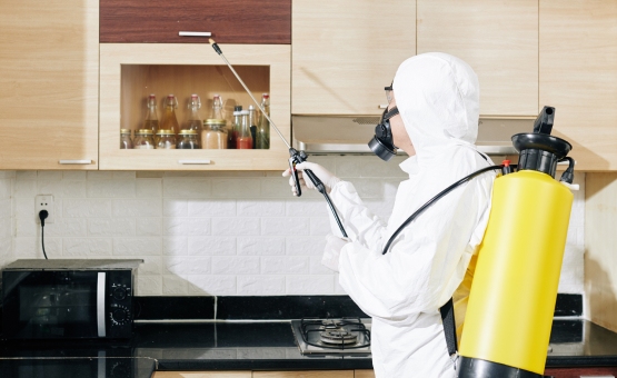 مكافحة الذباب والناموس